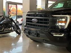 فۆرد F-150